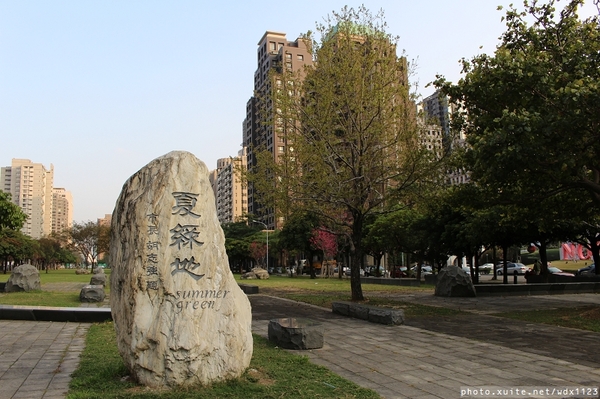 文昌國小：2014台中賞櫻景點大集合~103.02.25