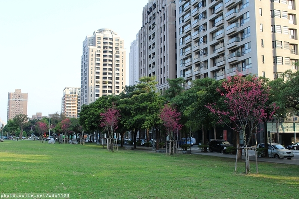 文昌國小：2014台中賞櫻景點大集合~103.02.25