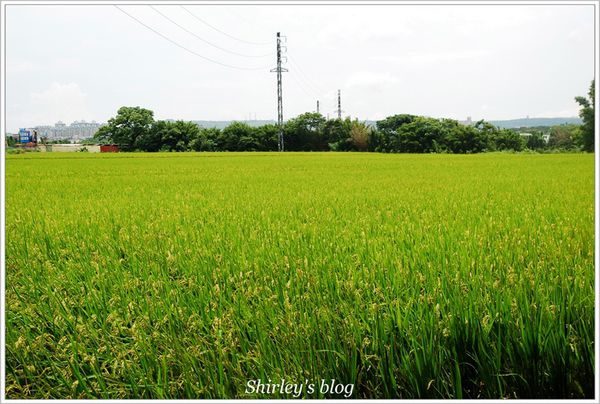 晴耕雨讀小書院：晴耕雨讀小書院