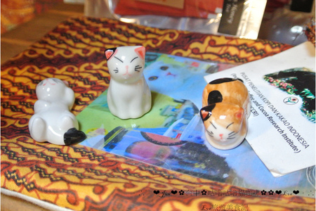 咕嚕咕嚕貓咖啡:【食記】oO。o○。台中 咕嚕咕嚕貓咖啡 po個3D立體擊掌貓拉花,療癒一下大家的心情~快來喝嘎逼,還可以領愛評KOKO哦~oO。o○。