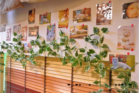 咕嚕咕嚕貓咖啡:【食記】oO。o○。台中 咕嚕咕嚕貓咖啡 po個3D立體擊掌貓拉花,療癒一下大家的心情~快來喝嘎逼,還可以領愛評KOKO哦~oO。o○。