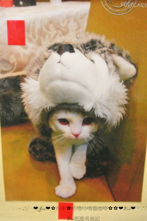 咕嚕咕嚕貓咖啡:【食記】oO。o○。台中 咕嚕咕嚕貓咖啡 po個3D立體擊掌貓拉花,療癒一下大家的心情~快來喝嘎逼,還可以領愛評KOKO哦~oO。o○。