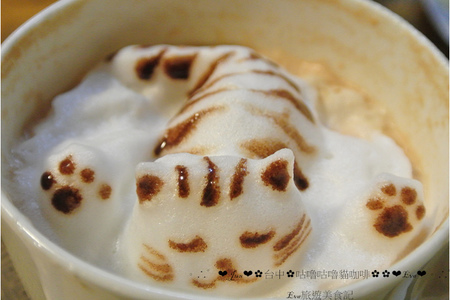 咕嚕咕嚕貓咖啡:【食記】oO。o○。台中 咕嚕咕嚕貓咖啡 po個3D立體擊掌貓拉花,療癒一下大家的心情~快來喝嘎逼,還可以領愛評KOKO哦~oO。o○。