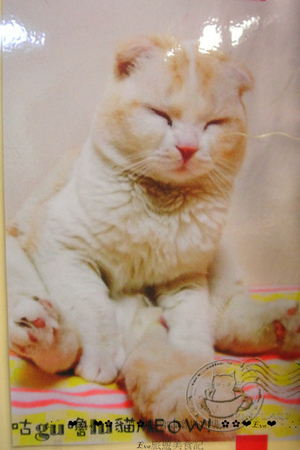 咕嚕咕嚕貓咖啡:【食記】oO。o○。台中 咕嚕咕嚕貓咖啡 po個3D立體擊掌貓拉花,療癒一下大家的心情~快來喝嘎逼,還可以領愛評KOKO哦~oO。o○。