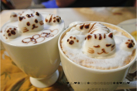 咕嚕咕嚕貓咖啡:【食記】oO。o○。台中 咕嚕咕嚕貓咖啡 po個3D立體擊掌貓拉花,療癒一下大家的心情~快來喝嘎逼,還可以領愛評KOKO哦~oO。o○。