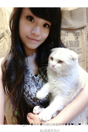 咕嚕咕嚕貓咖啡:【食記】oO。o○。台中 咕嚕咕嚕貓咖啡 po個3D立體擊掌貓拉花,療癒一下大家的心情~快來喝嘎逼,還可以領愛評KOKO哦~oO。o○。