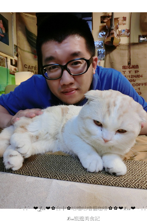 咕嚕咕嚕貓咖啡:【食記】oO。o○。台中 咕嚕咕嚕貓咖啡 po個3D立體擊掌貓拉花,療癒一下大家的心情~快來喝嘎逼,還可以領愛評KOKO哦~oO。o○。