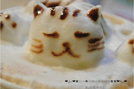 咕嚕咕嚕貓咖啡:【食記】oO。o○。台中 咕嚕咕嚕貓咖啡 po個3D立體擊掌貓拉花,療癒一下大家的心情~快來喝嘎逼,還可以領愛評KOKO哦~oO。o○。