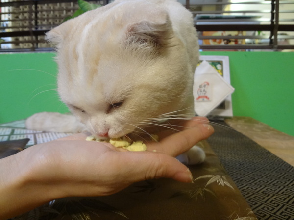 cm20131010___1f4498ec2039b55375088c34c2b