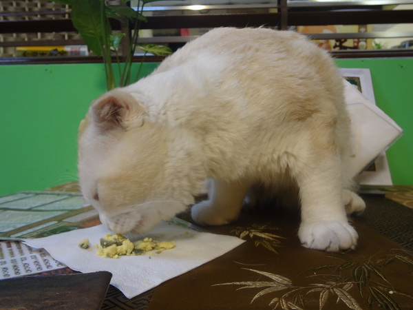 cm20131010___17e109ed8db4b63516d9c50502c