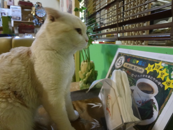 cm20131010___a79346322688e7073fbc299d6e8