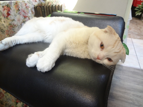 cm20131010___03a3643a16c48649f37761256f2