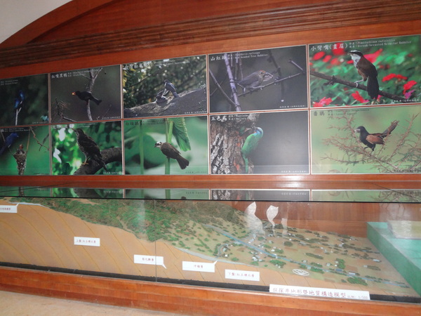 cm20130910___3e1ad67bcd48a7d910c7d9073c8