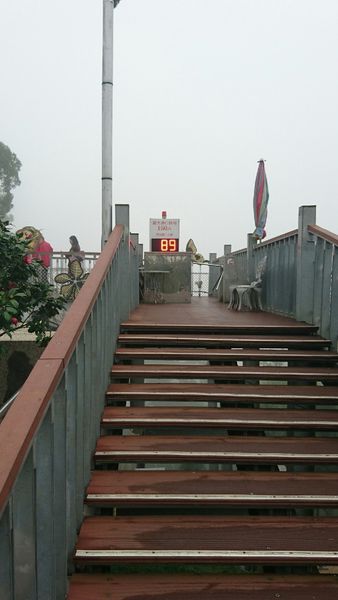 20160320南投一日遊_8853