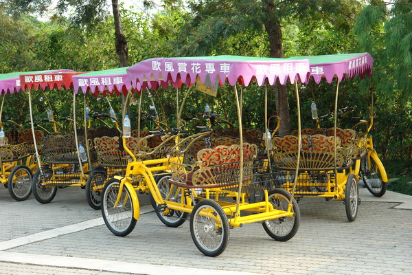 菁芳園 (田尾休閒農場)(Tenway Eco-Leisure Farm)：菁芳園--落羽松還沒紅