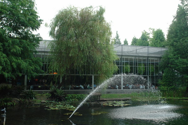 菁芳園 (田尾休閒農場)(Tenway Eco-Leisure Farm)：菁芳園--落羽松還沒紅