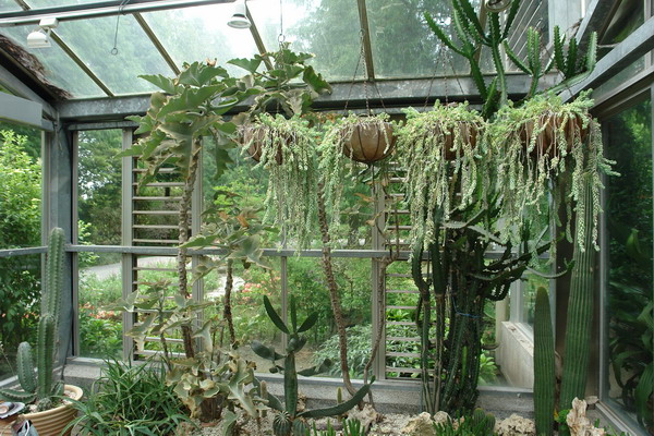 菁芳園 (田尾休閒農場)(Tenway Eco-Leisure Farm)：菁芳園--落羽松還沒紅