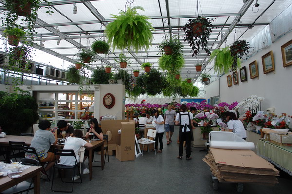 菁芳園 (田尾休閒農場)(Tenway Eco-Leisure Farm)：菁芳園--落羽松還沒紅