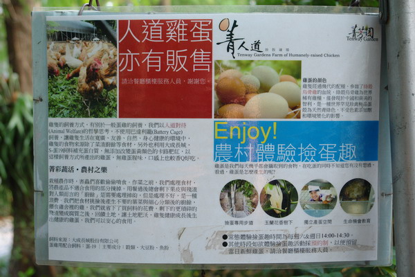 菁芳園 (田尾休閒農場)(Tenway Eco-Leisure Farm)：菁芳園--落羽松還沒紅