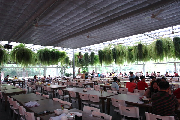 菁芳園 (田尾休閒農場)(Tenway Eco-Leisure Farm)：菁芳園--落羽松還沒紅