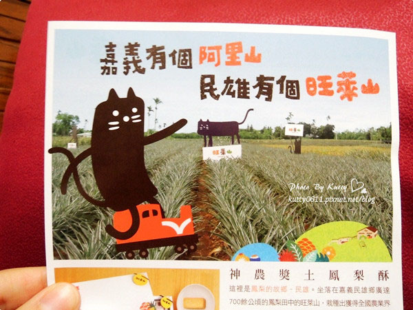 2014-2-24旺萊山鳳梨酥 (6).jpg