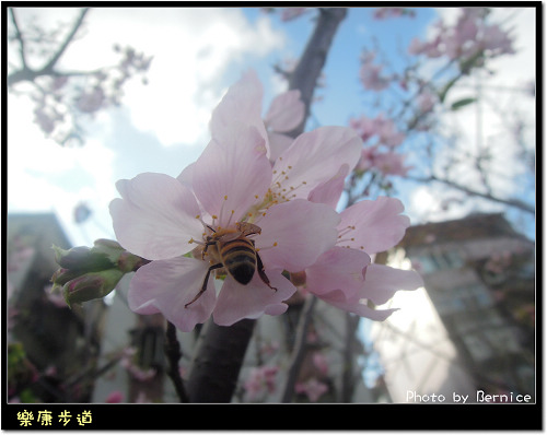 0215 1-樂康步道12