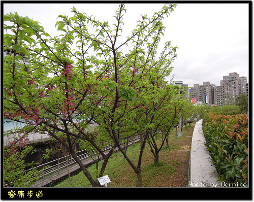 0215 1-樂康步道06