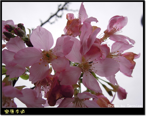 0215 1-樂康步道03