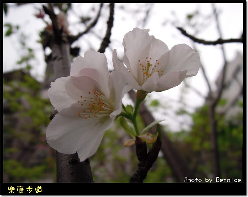 0215 1-樂康步道05