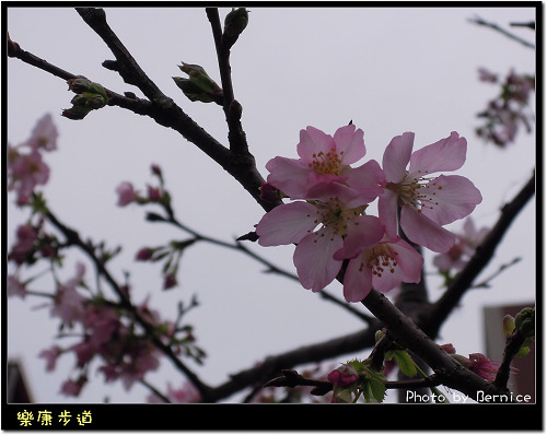 0215 1-樂康步道02