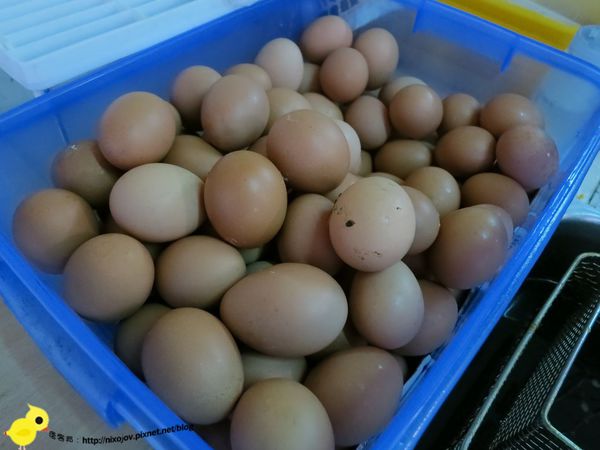 新莊-中港美而美-悠閒與好品質的美味