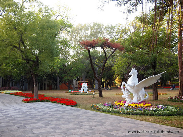 佳里中山公園(2013台南百花祭):【景點】台南佳里中山公園@2014台南百花祭 : 花沒想像中的多,但還蠻適合散步的囉!