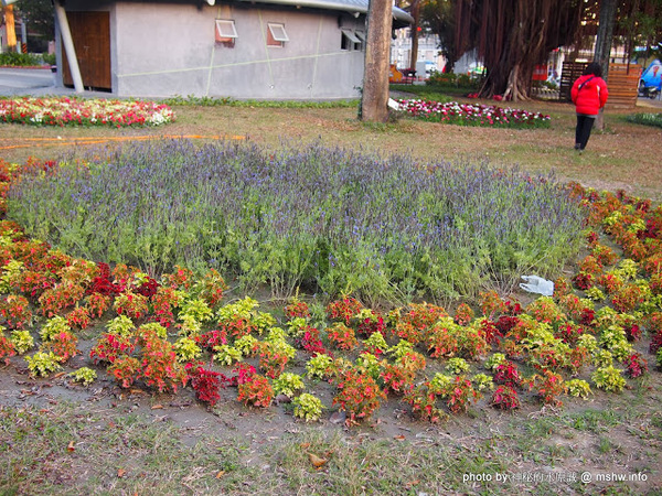 佳里中山公園(2013台南百花祭):【景點】台南佳里中山公園@2014台南百花祭 : 花沒想像中的多,但還蠻適合散步的囉!