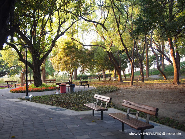 佳里中山公園(2013台南百花祭):【景點】台南佳里中山公園@2014台南百花祭 : 花沒想像中的多,但還蠻適合散步的囉!