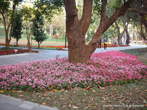 佳里中山公園(2013台南百花祭):【景點】台南佳里中山公園@2014台南百花祭 : 花沒想像中的多,但還蠻適合散步的囉!