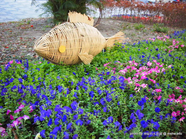 佳里中山公園(2013台南百花祭):【景點】台南佳里中山公園@2014台南百花祭 : 花沒想像中的多,但還蠻適合散步的囉!