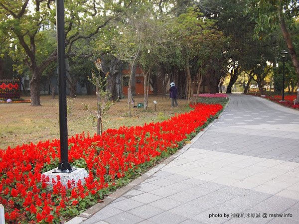 佳里中山公園(2013台南百花祭):【景點】台南佳里中山公園@2014台南百花祭 : 花沒想像中的多,但還蠻適合散步的囉!