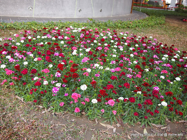 佳里中山公園(2013台南百花祭):【景點】台南佳里中山公園@2014台南百花祭 : 花沒想像中的多,但還蠻適合散步的囉!