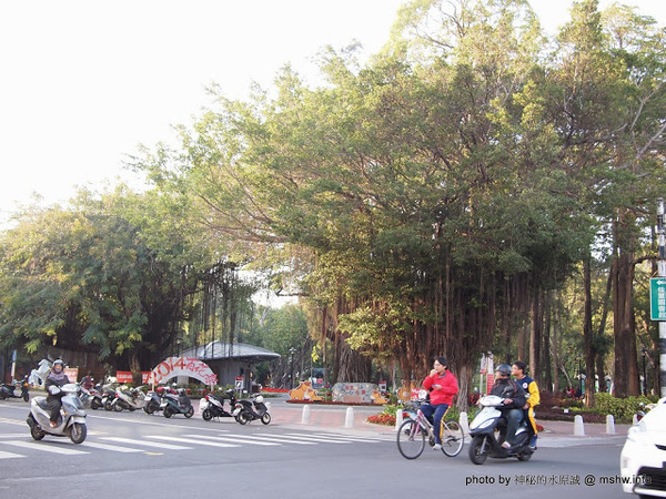 佳里中山公園(2013台南百花祭):【景點】台南佳里中山公園@2014台南百花祭 : 花沒想像中的多,但還蠻適合散步的囉!