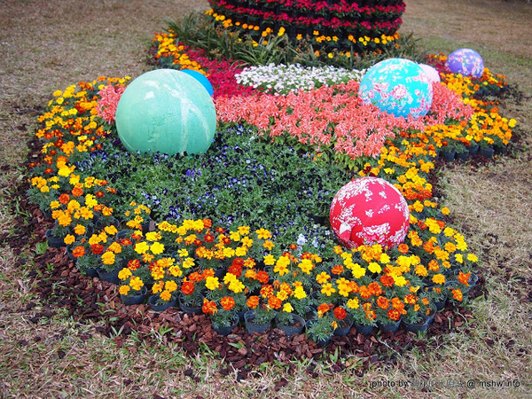 佳里中山公園(2013台南百花祭):【景點】台南佳里中山公園@2014台南百花祭 : 花沒想像中的多,但還蠻適合散步的囉!