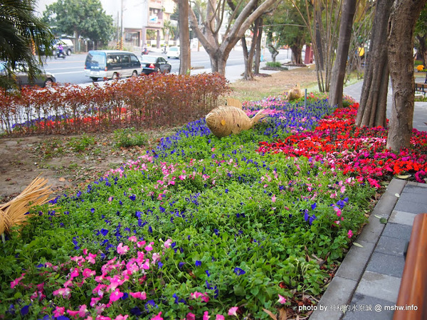 佳里中山公園(2013台南百花祭):【景點】台南佳里中山公園@2014台南百花祭 : 花沒想像中的多,但還蠻適合散步的囉!