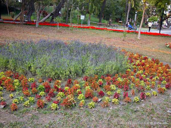 佳里中山公園(2013台南百花祭):【景點】台南佳里中山公園@2014台南百花祭 : 花沒想像中的多,但還蠻適合散步的囉!