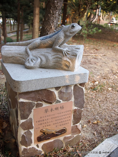 佳里中山公園(2013台南百花祭):【景點】台南佳里中山公園@2014台南百花祭 : 花沒想像中的多,但還蠻適合散步的囉!