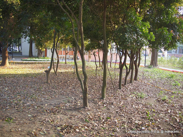 佳里中山公園(2013台南百花祭):【景點】台南佳里中山公園@2014台南百花祭 : 花沒想像中的多,但還蠻適合散步的囉!