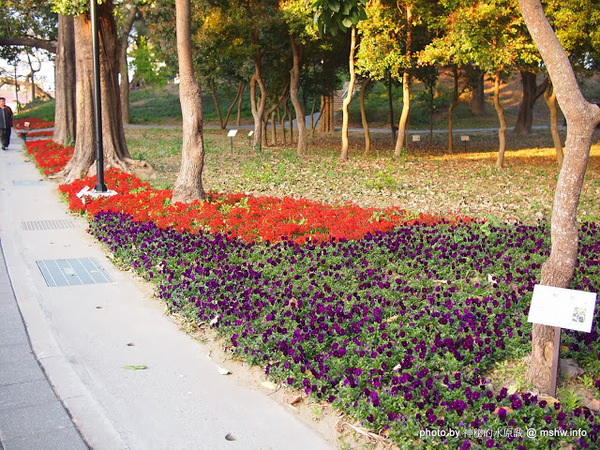 佳里中山公園(2013台南百花祭):【景點】台南佳里中山公園@2014台南百花祭 : 花沒想像中的多,但還蠻適合散步的囉!