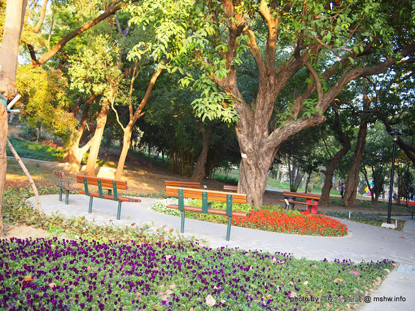 佳里中山公園(2013台南百花祭):【景點】台南佳里中山公園@2014台南百花祭 : 花沒想像中的多,但還蠻適合散步的囉!