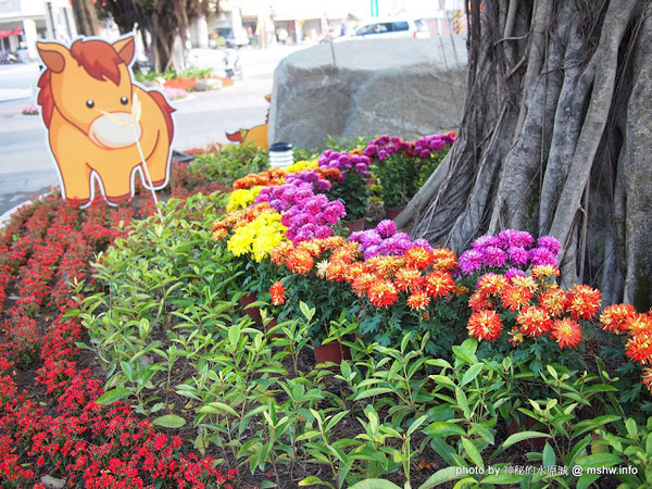 佳里中山公園(2013台南百花祭):【景點】台南佳里中山公園@2014台南百花祭 : 花沒想像中的多,但還蠻適合散步的囉!