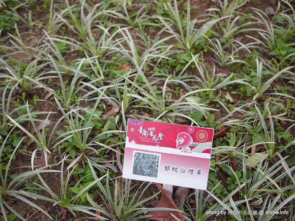 佳里中山公園(2013台南百花祭):【景點】台南佳里中山公園@2014台南百花祭 : 花沒想像中的多,但還蠻適合散步的囉!