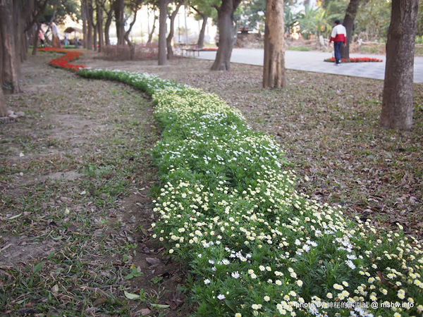 佳里中山公園(2013台南百花祭):【景點】台南佳里中山公園@2014台南百花祭 : 花沒想像中的多,但還蠻適合散步的囉!