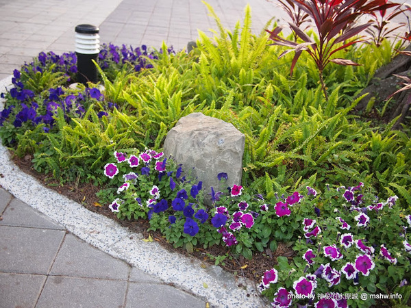 佳里中山公園(2013台南百花祭):【景點】台南佳里中山公園@2014台南百花祭 : 花沒想像中的多,但還蠻適合散步的囉!